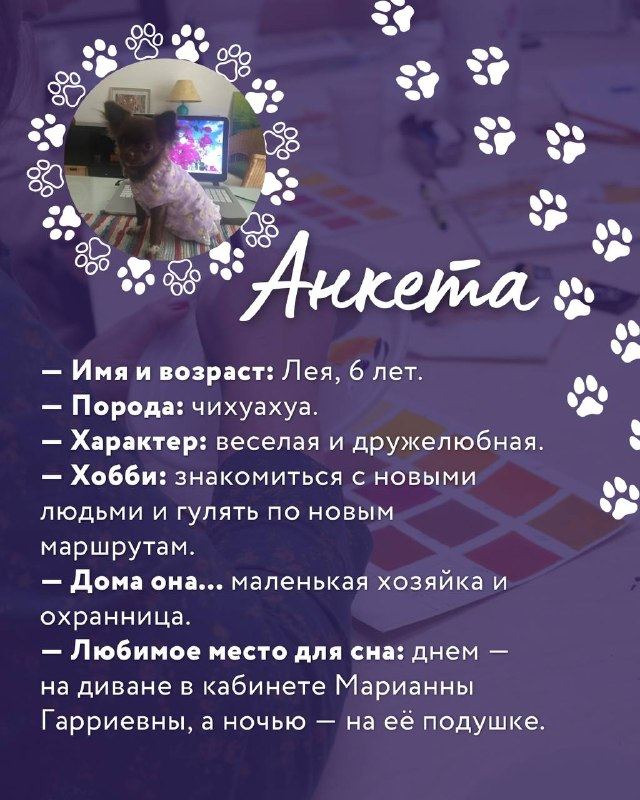 Русская Академия Ремёсел — фото из Telegram, 18 сентября 2026